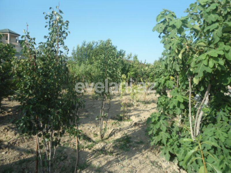 Satılır, həyət evi / bağ, 7 otaqlı, 700 m², Abşeron r.