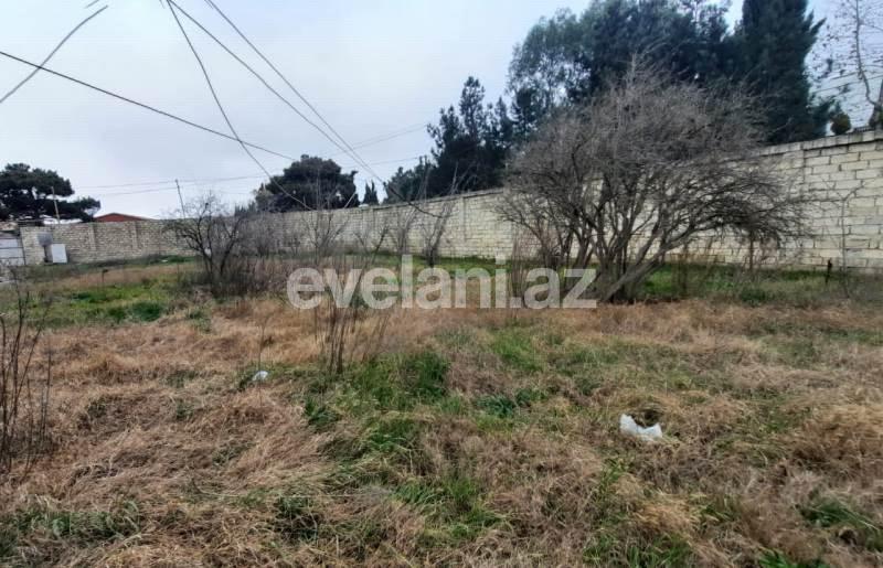 Sale, garden / house, 7 room, 600 m², Mardakan d.