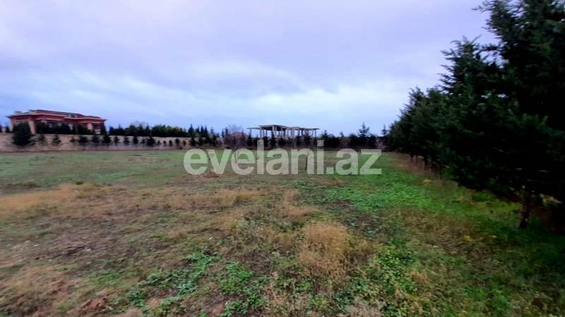 Satılır, torpaq, 369 sot, Bilgəh q.