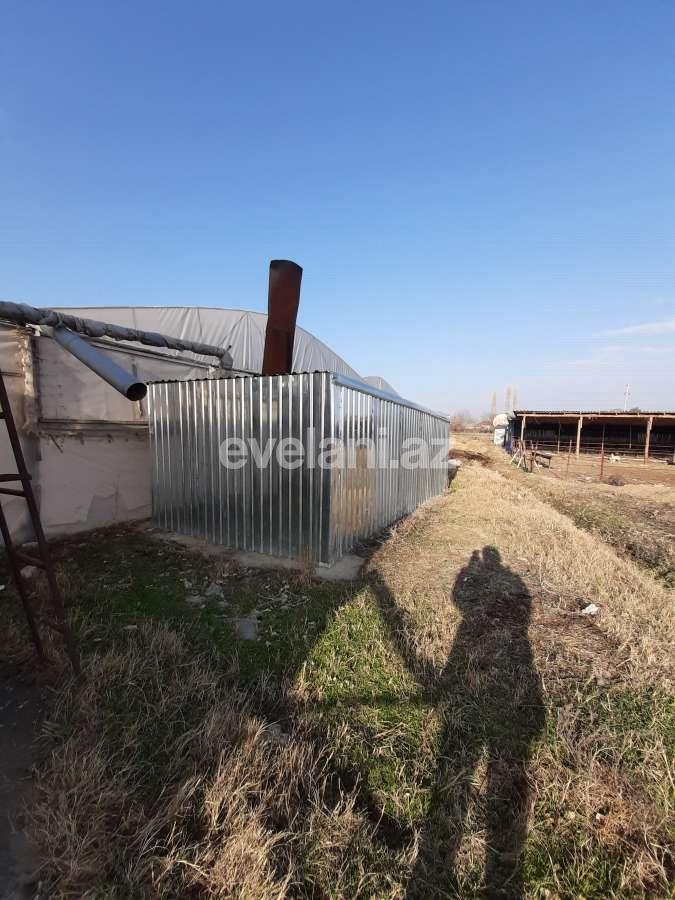 Satılır, torpaq, 50 sot, Şəmkir