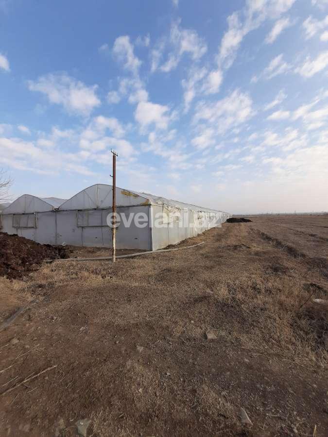 Satılır, torpaq, 50 sot, Şəmkir