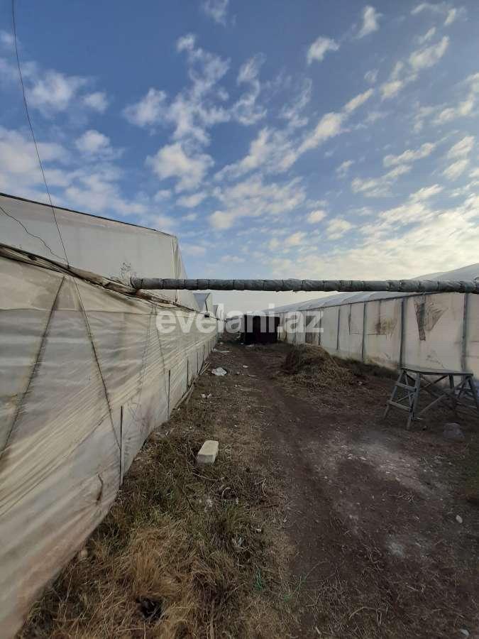 Satılır, torpaq, 50 sot, Şəmkir