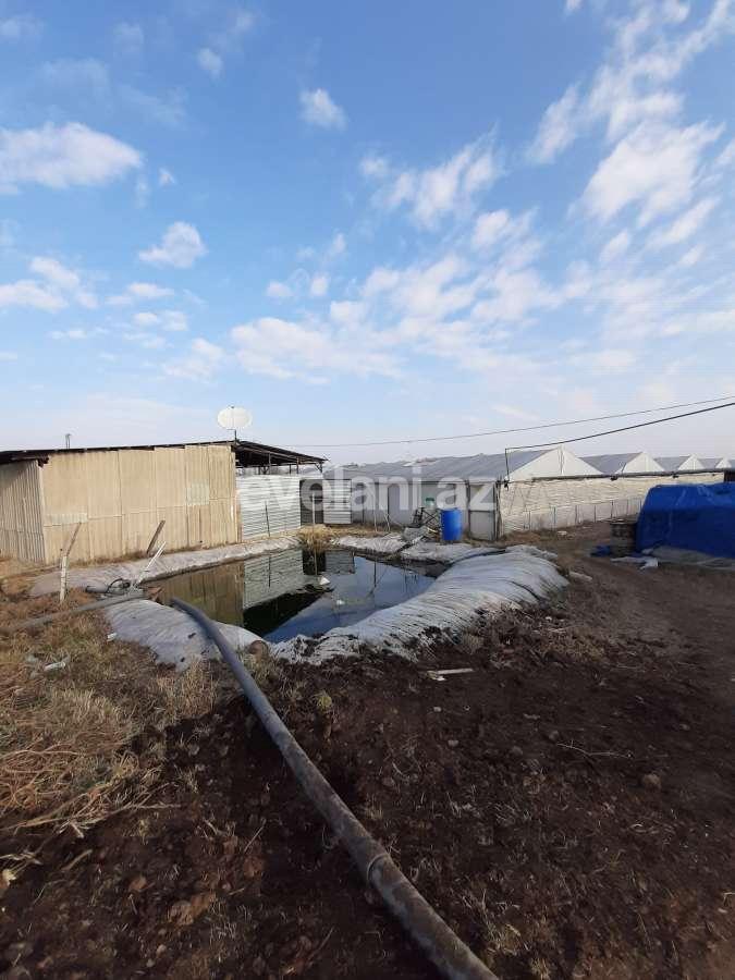 Satılır, torpaq, 50 sot, Şəmkir