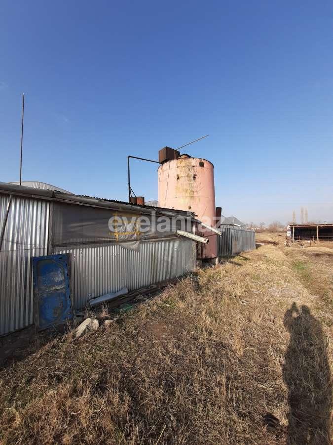 Satılır, torpaq, 50 sot, Şəmkir