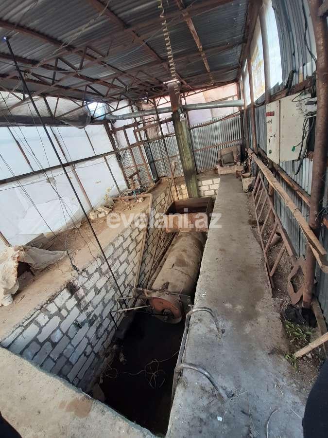 Satılır, torpaq, 50 sot, Şəmkir