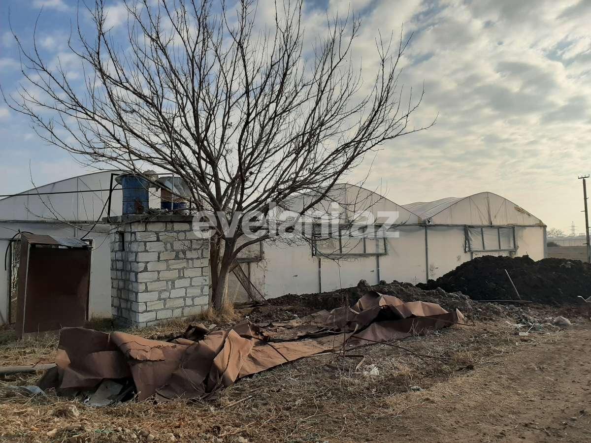 Satılır, torpaq, 50 sot, Şəmkir