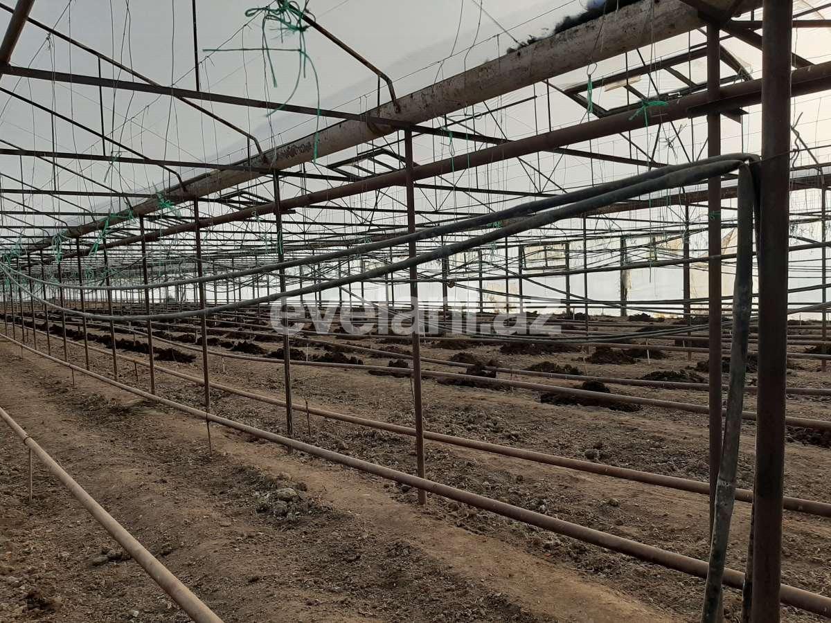 Satılır, torpaq, 50 sot, Şəmkir