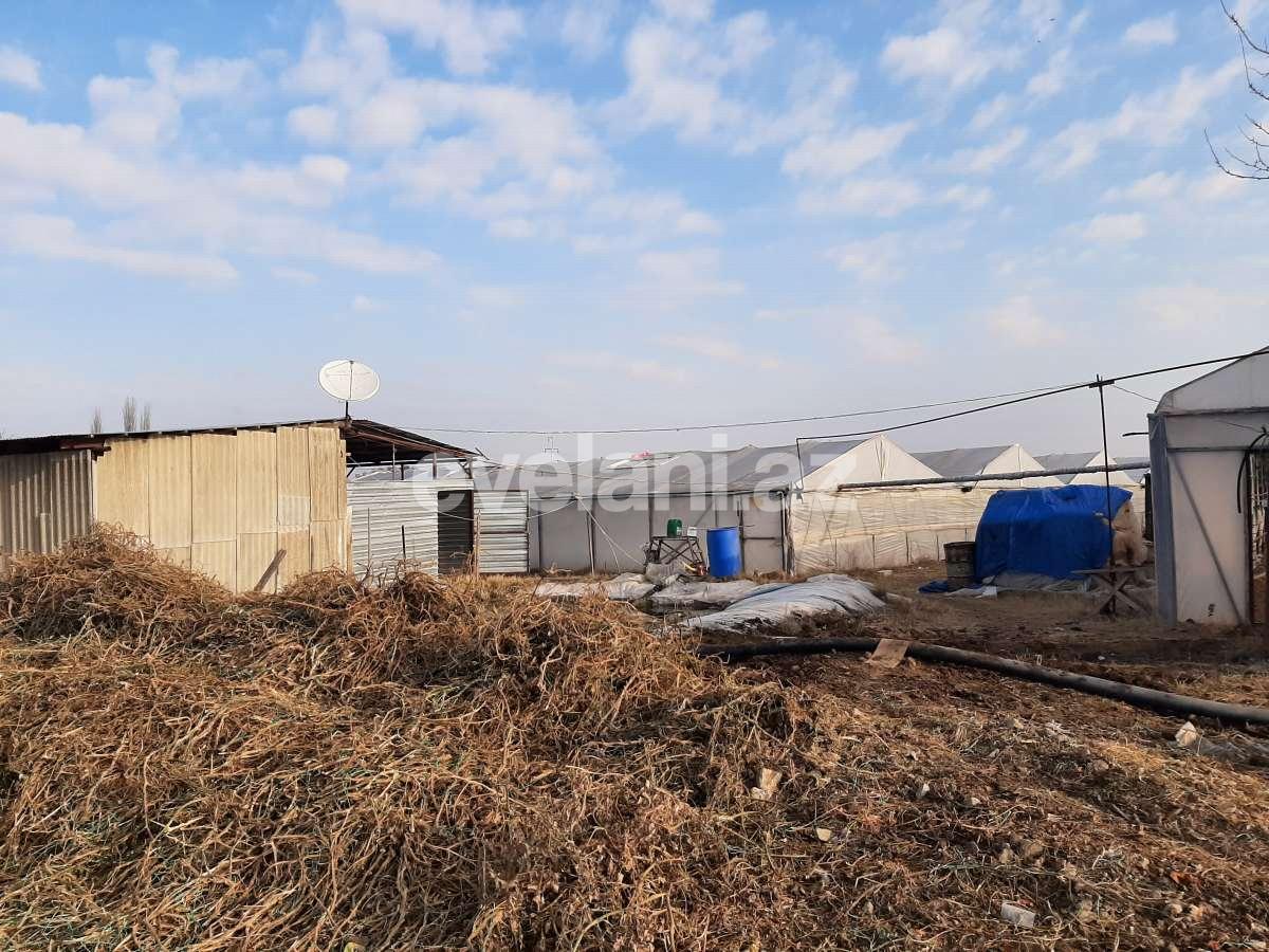 Satılır, torpaq, 50 sot, Şəmkir