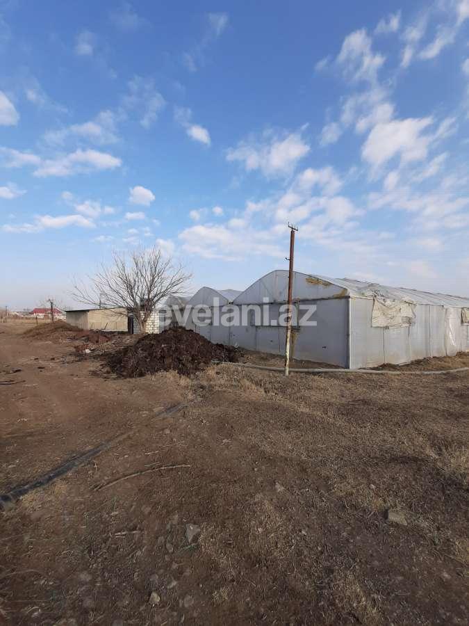 Satılır, torpaq, 50 sot, Şəmkir