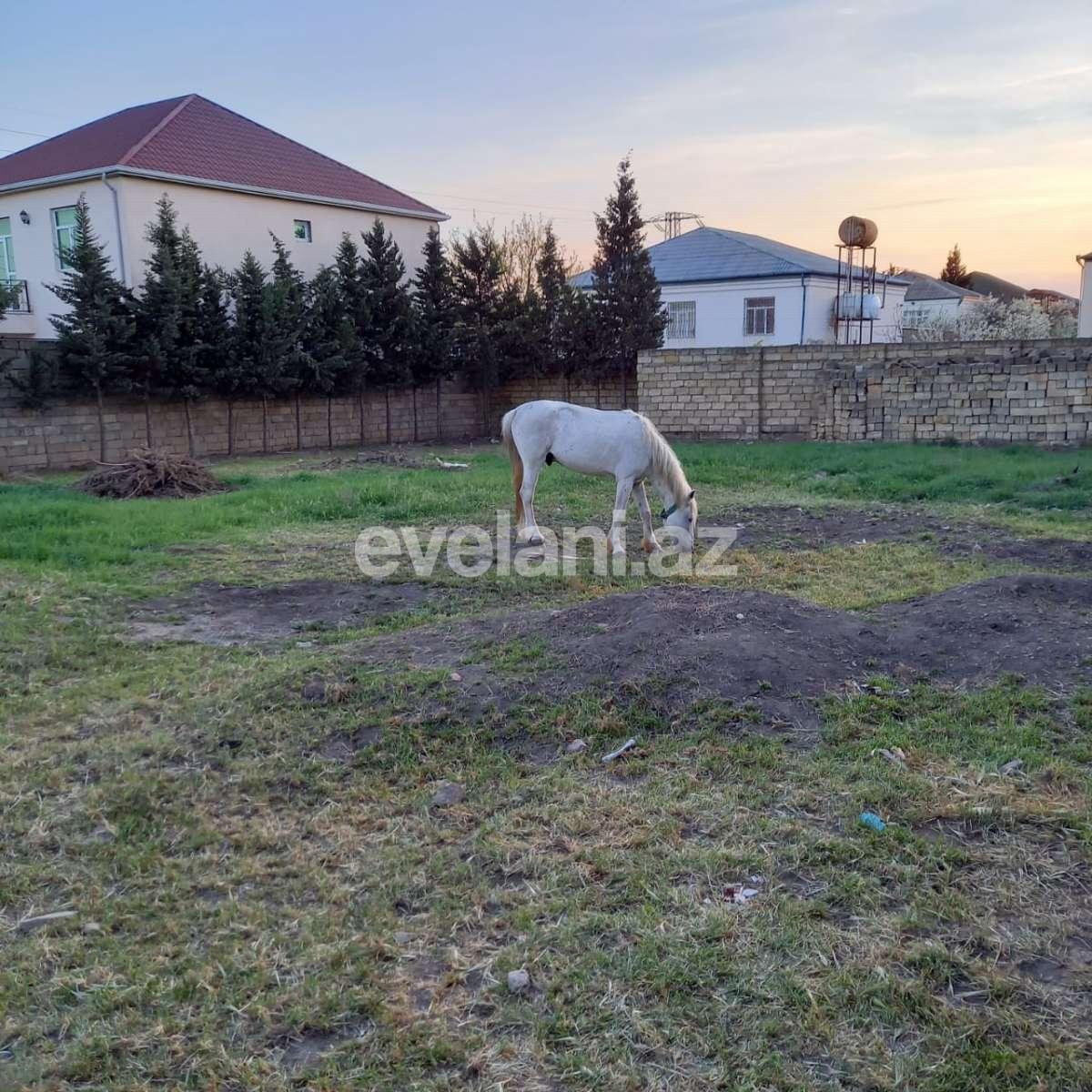 Satılır, torpaq, 10 sot, Mehdiabad q.