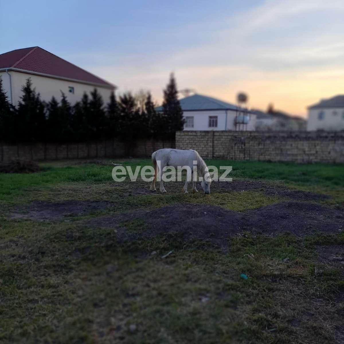 Satılır, torpaq, 10 sot, Mehdiabad q.