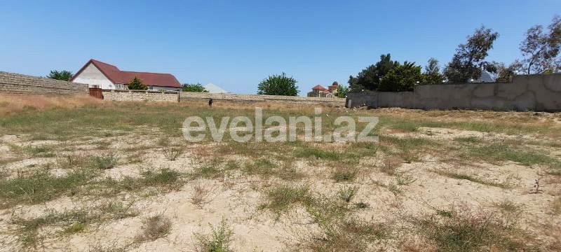 Sale, land, 20 ar, Absheron r.