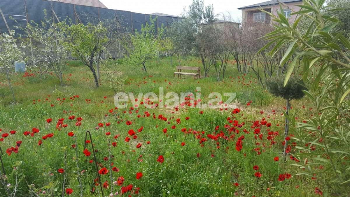 Satılır, həyət evi / bağ, 8 otaqlı, 250 m², Nardaran q.