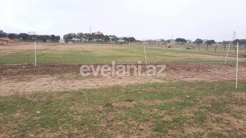 Satılır, torpaq, 500 sot, Buzovna q.