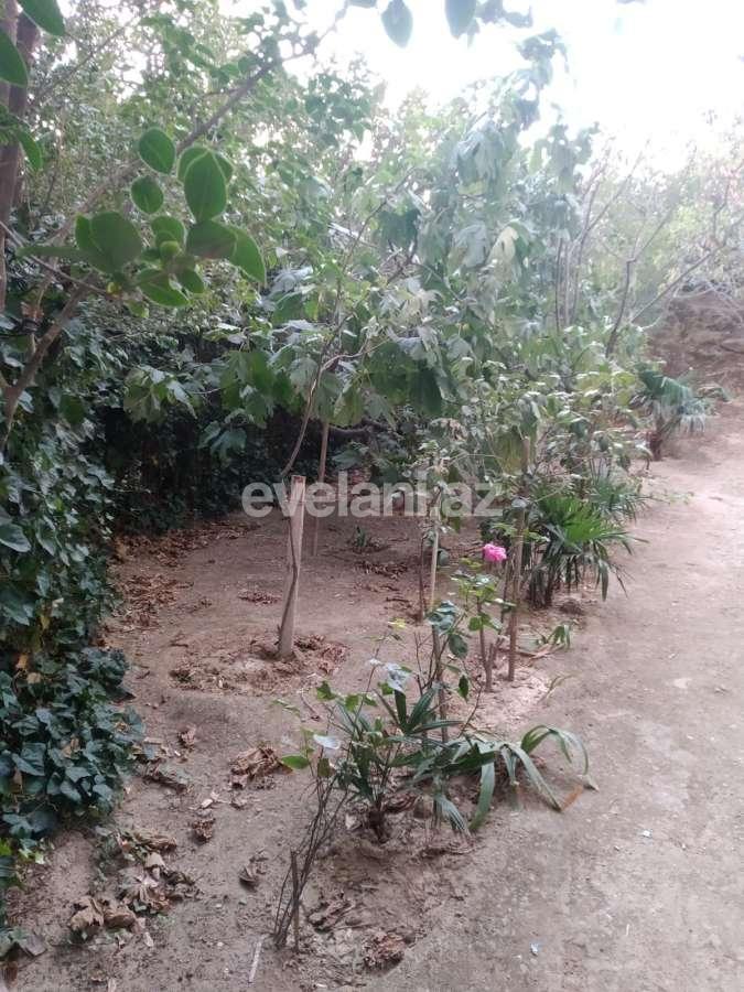 Sale, old building, 3 room, 64 m², Binagadi r.