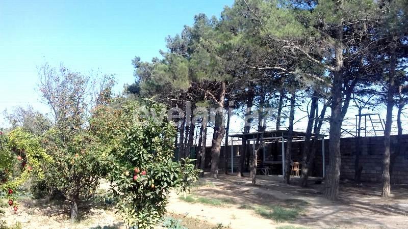 Sale, land, 146 ar, Sabunchu r.