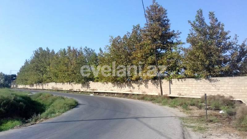 Sale, land, 146 ar, Sabunchu r.