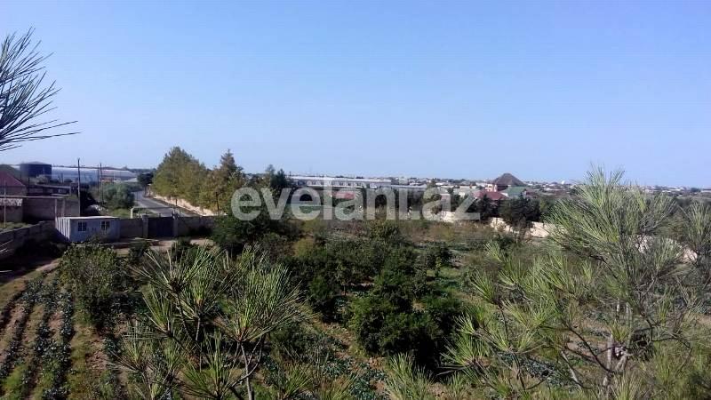 Sale, land, 146 ar, Sabunchu r.