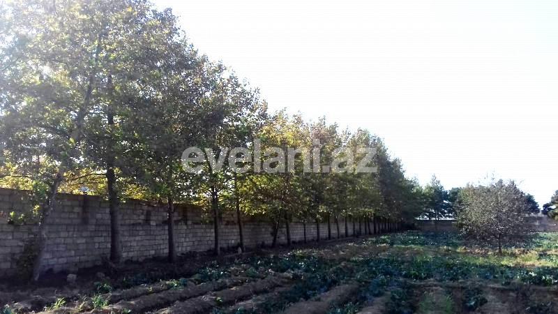 Sale, land, 146 ar, Sabunchu r.