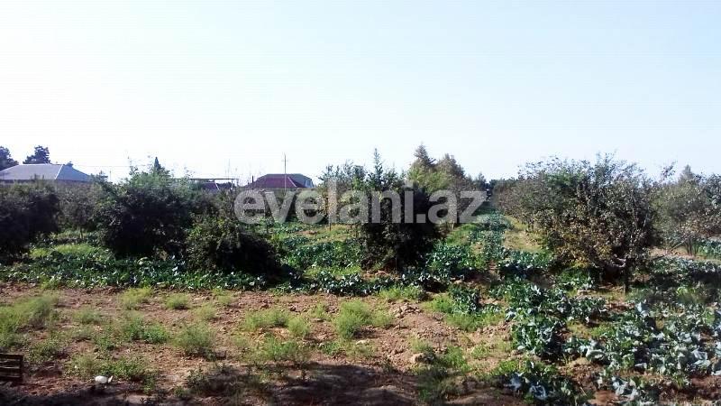 Sale, land, 146 ar, Sabunchu r.