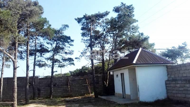 Sale, land, 146 ar, Sabunchu r.
