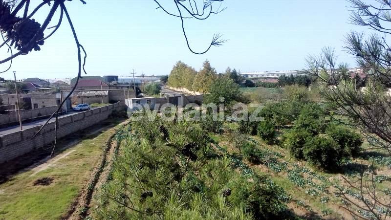 Sale, land, 146 ar, Sabunchu r.