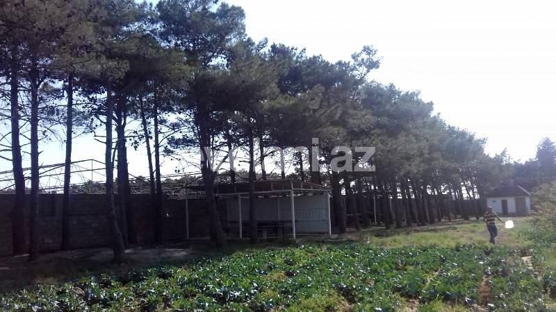 Sale, land, 146 ar, Sabunchu r.