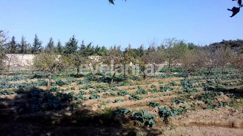 Sale, land, 146 ar, Sabunchu r.