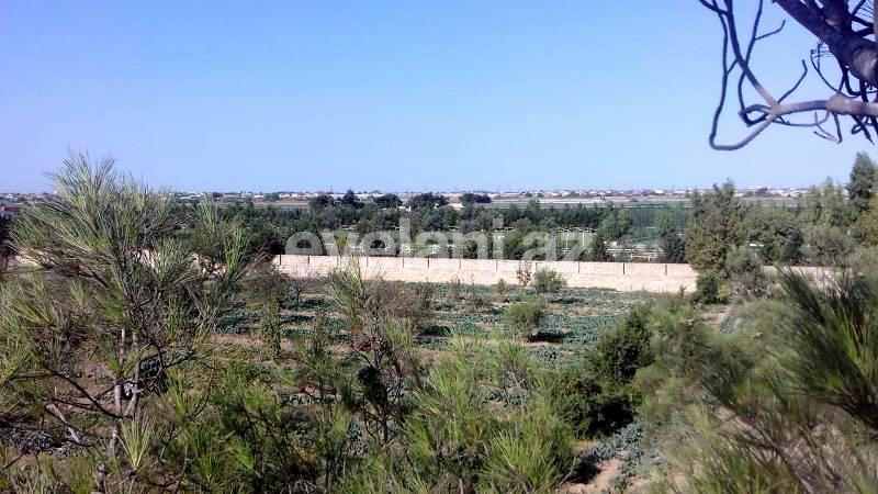 Sale, land, 146 ar, Sabunchu r.