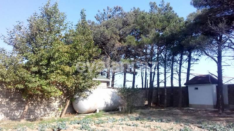 Sale, land, 146 ar, Sabunchu r.