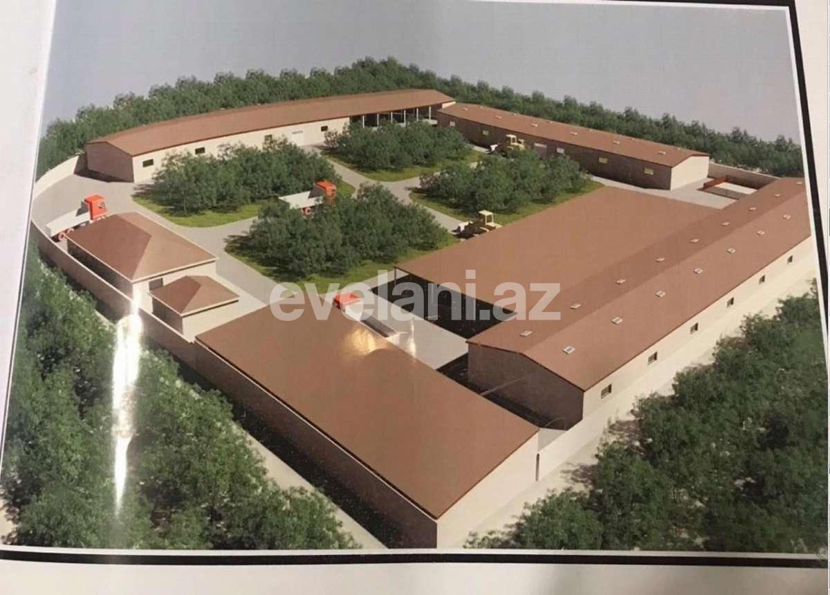 Satılır, torpaq, 100 sot, Abşeron r.