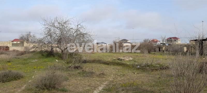 Satılır, torpaq, 12 sot, Nardaran q.