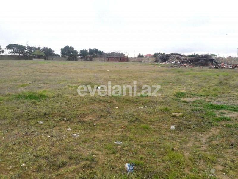 Satılır, torpaq, 300 sot, Nardaran q.