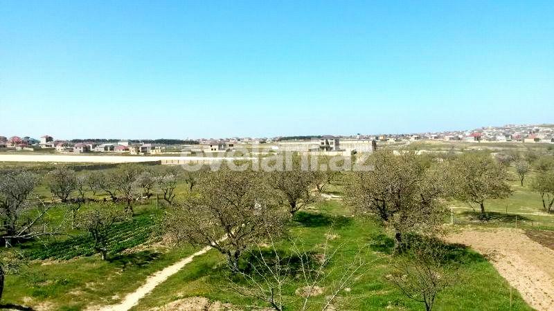 Satılır, torpaq, 300 sot, Nardaran q.