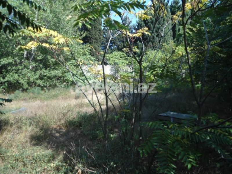 Satılır, torpaq, 7 sot, Badamdar q.