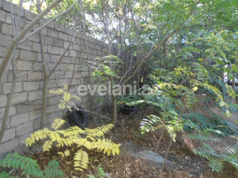 Satılır, torpaq, 7 sot, Badamdar q.