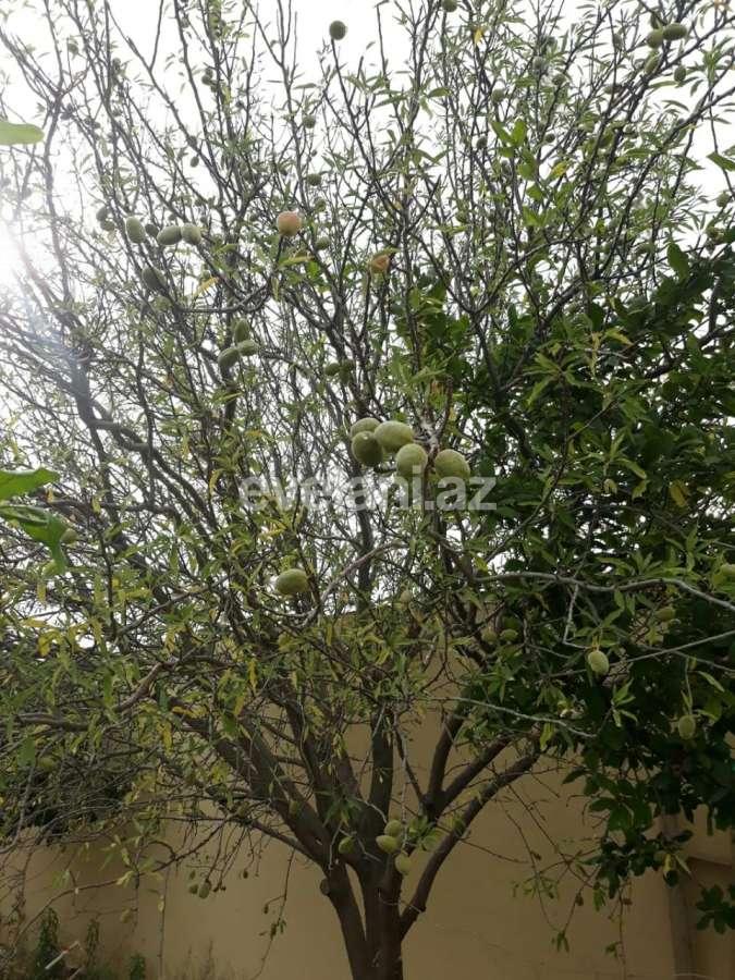 Satılır, villa, 8 otaqlı, 350 m², Saray q.