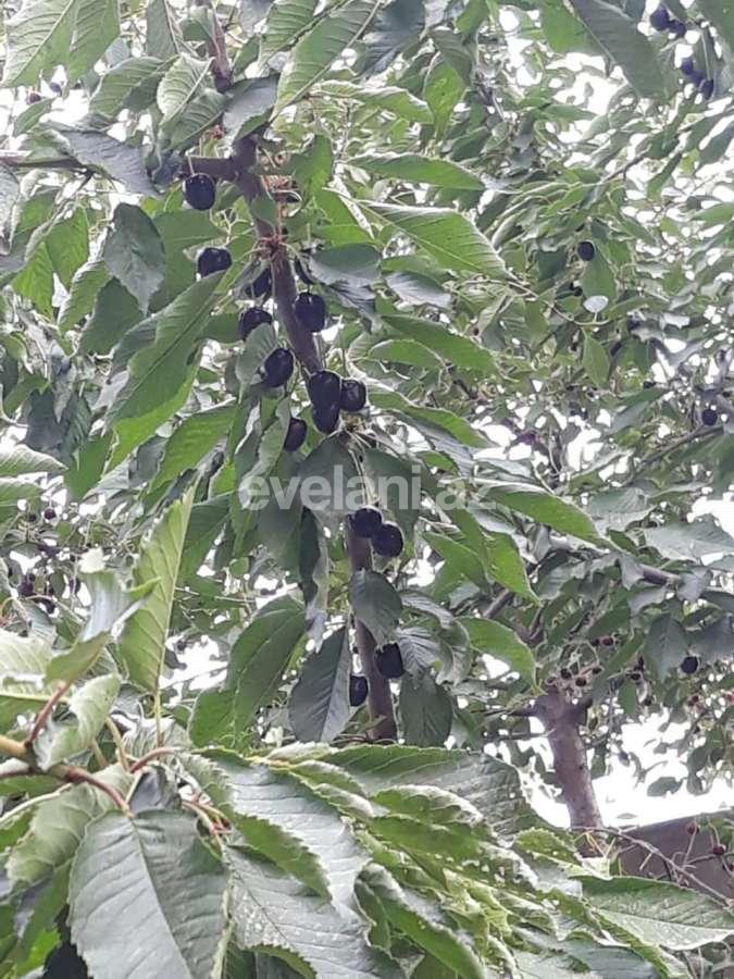 Satılır, villa, 8 otaqlı, 350 m², Saray q.