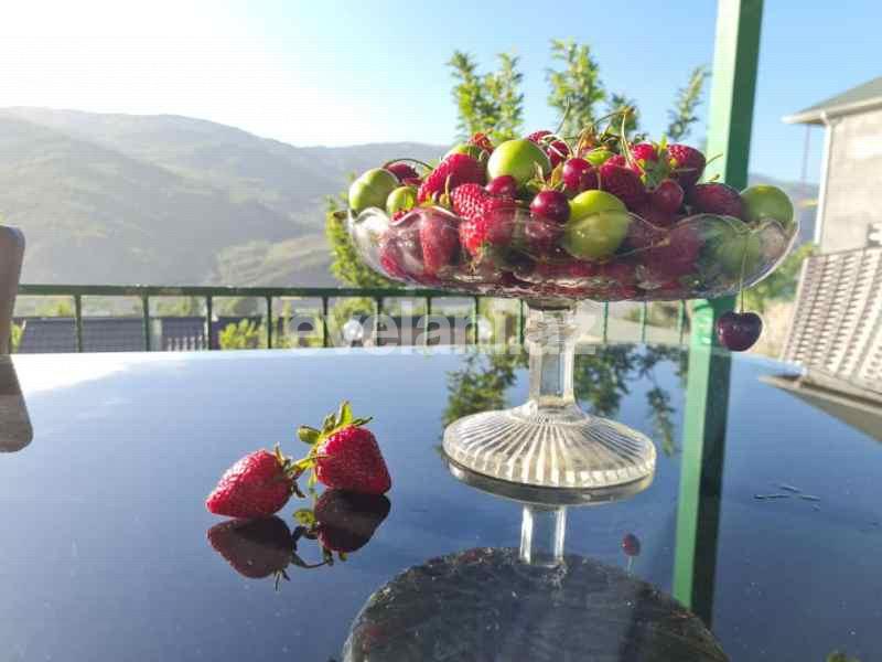 Satılır, obyekt, 600 m², İsmayıllı