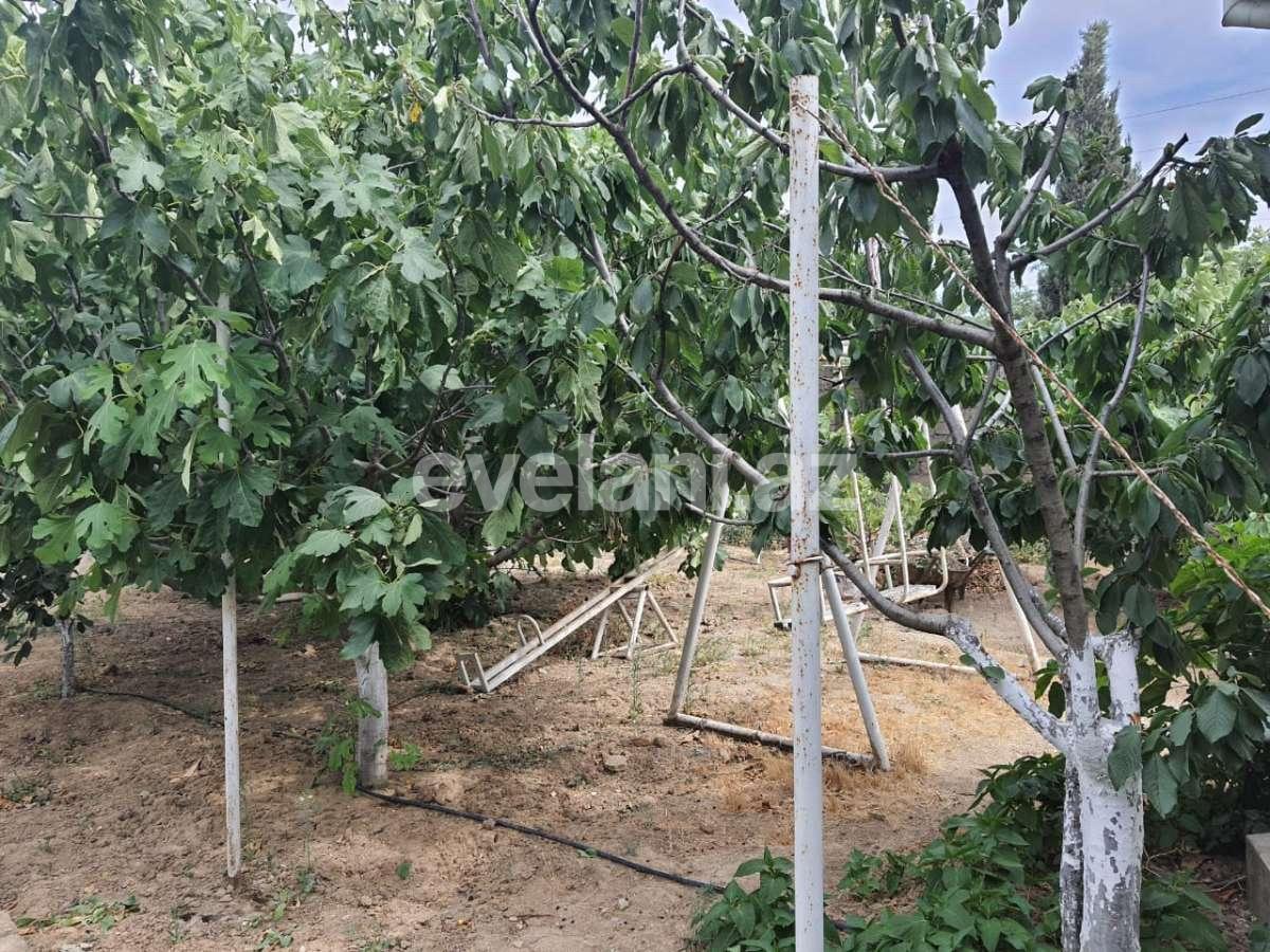 Rent, villa, 6 room, 420 m², Mehdiabad d.