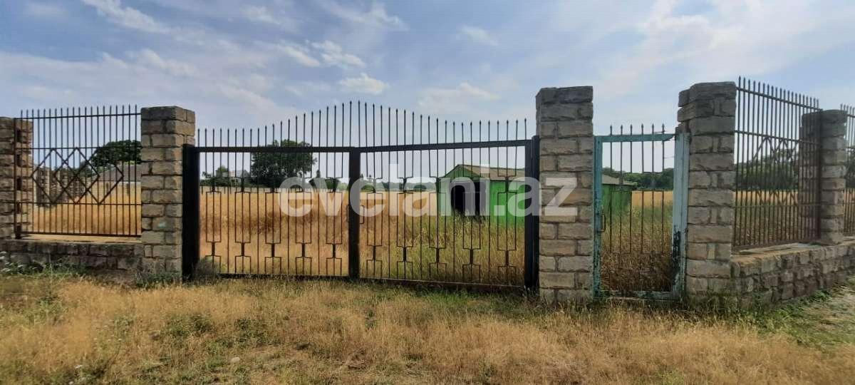 Satılır, torpaq, 1200 sot, Xaçmaz