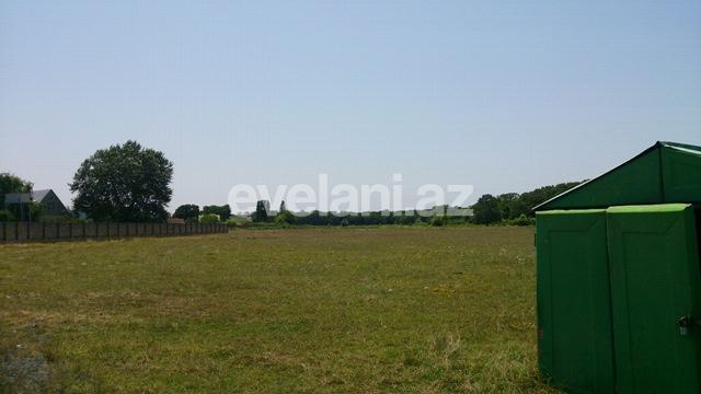 Satılır, torpaq, 1200 sot, Xaçmaz