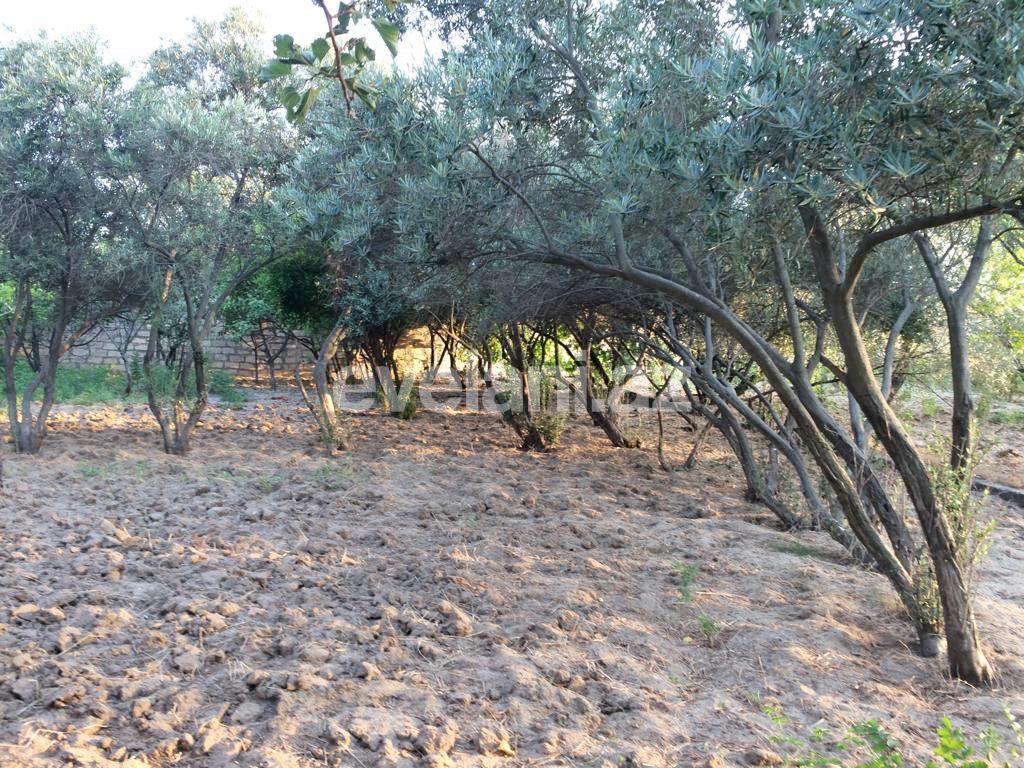 Satılır, həyət evi / bağ, 5 otaqlı, 200 m², Novxanı q.