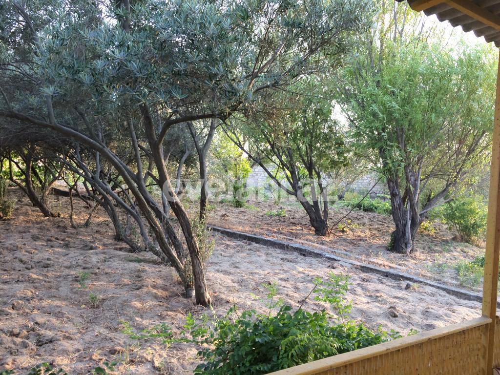 Satılır, həyət evi / bağ, 5 otaqlı, 200 m², Novxanı q.