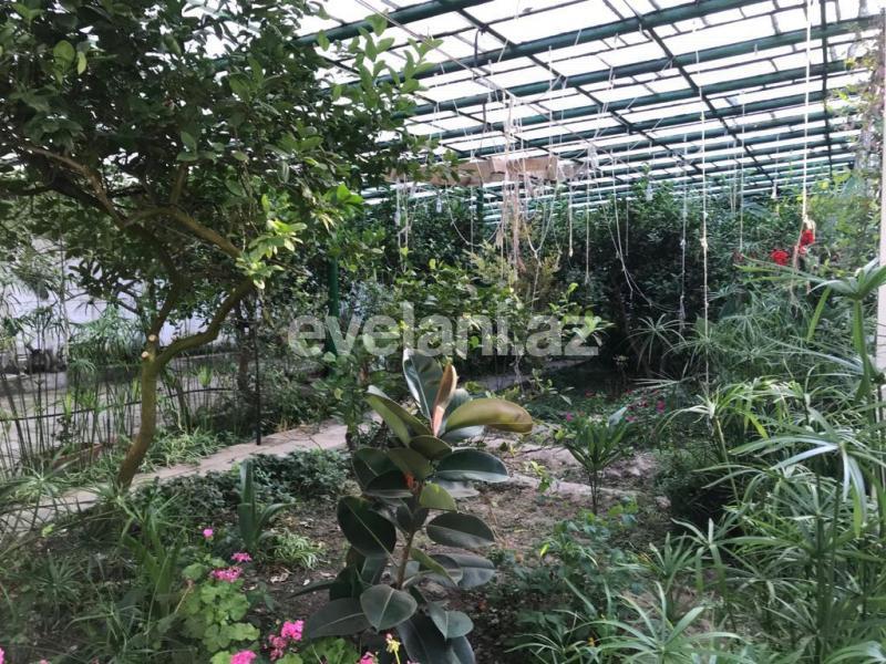 Sale, garden / house, 8 room, 700 m², Novkhani d.