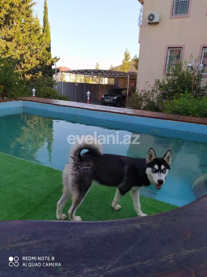 Rent, garden / house, 4 room, 300 m², Sabail r.