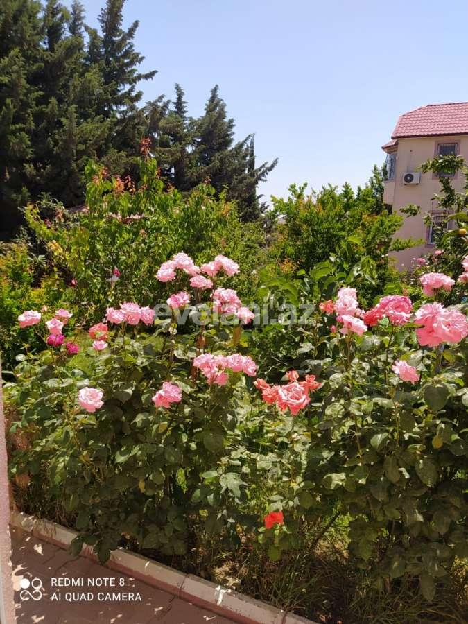 Rent, garden / house, 4 room, 300 m², Sabail r.