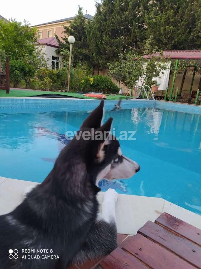 Rent, garden / house, 4 room, 300 m², Sabail r.