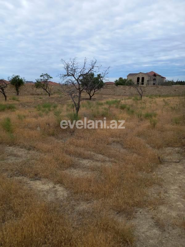 Satılır, torpaq, 9 sot, Masazır q.