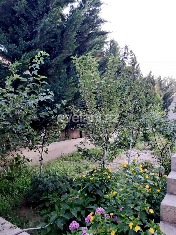 Satılır, həyət evi / bağ, 4 otaqlı, 280 m², Buzovna q.